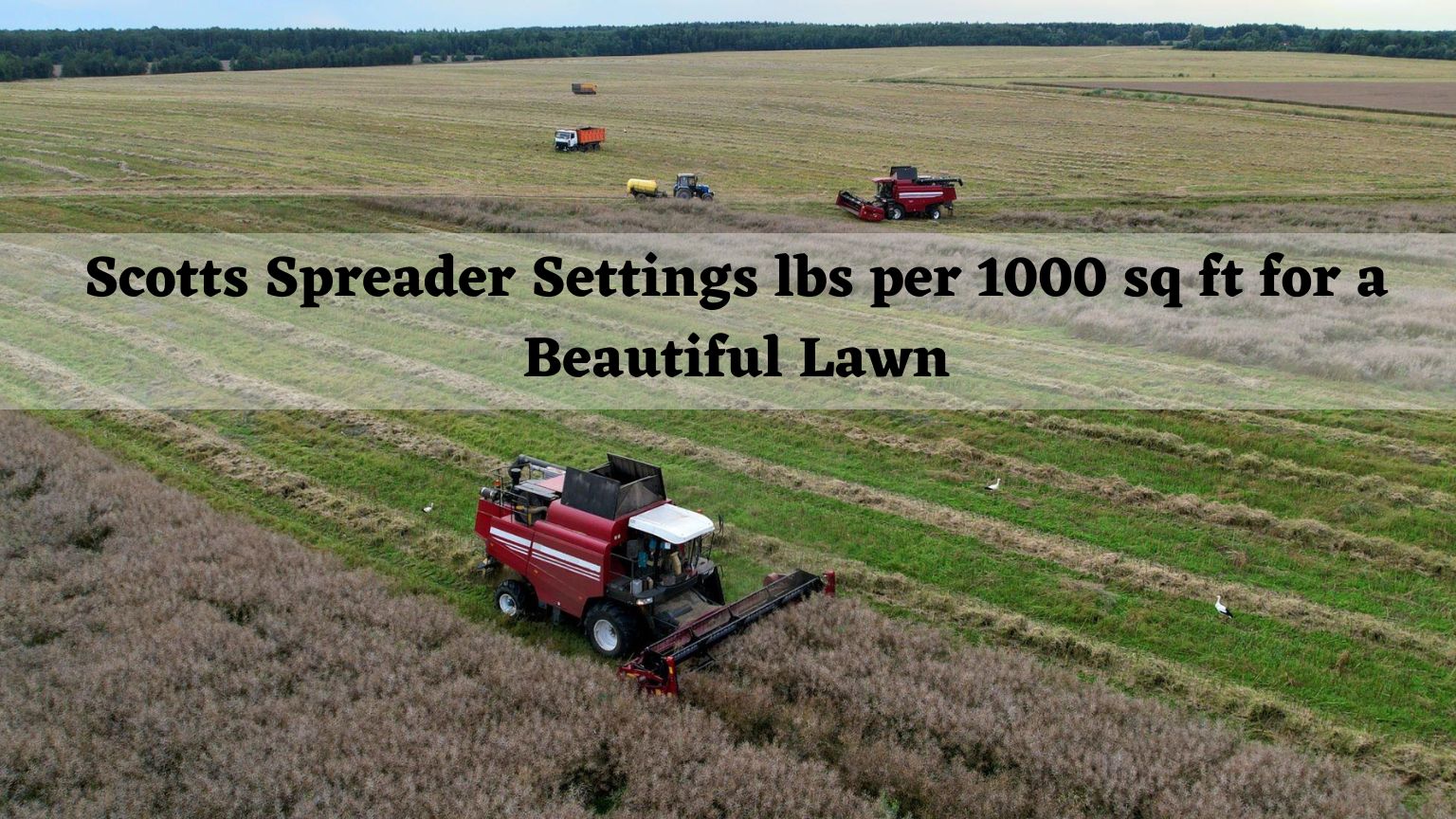 scotts-spreader-settings-lbs-per-1000-sq-ft-for-best-lawn